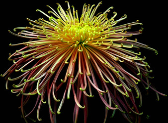 Similar image 8273254