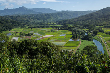 Similar image 8273434