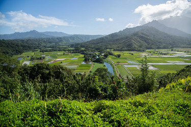 Similar image 8273435