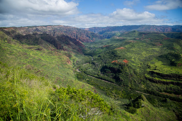 Similar image 8273444