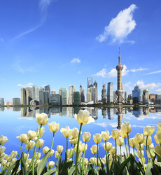 Similar image 8273468