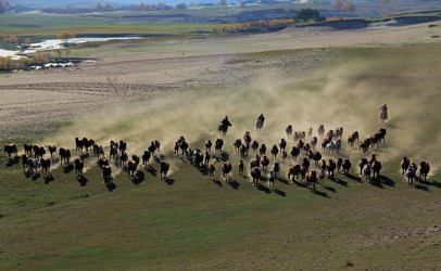 Similar image 8273475