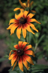 Similar image 8273517