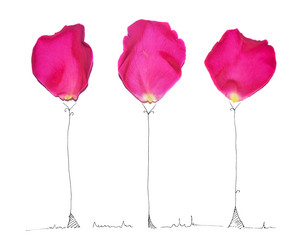 Similar image 8273545