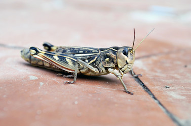 Similar image 8273549