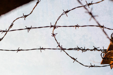 Similar image 8273551