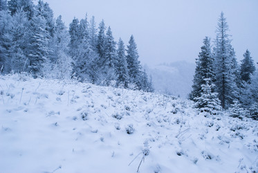 Similar image 8273556