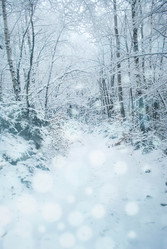 Similar image 8273563