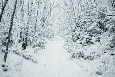 Similar image 8273565