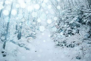 Similar image 8273569