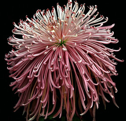 Similar image 8273631