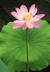 Similar image 8273676