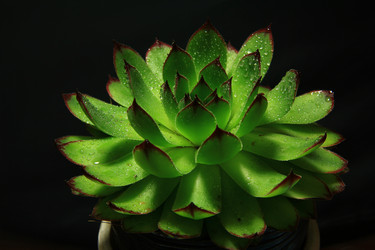 Similar image 8273677