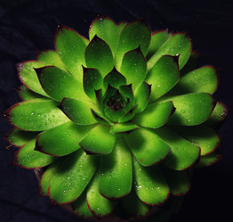 Similar image 8273678