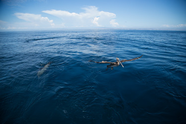 Similar image 8273682