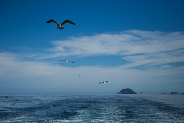 Similar image 8273683