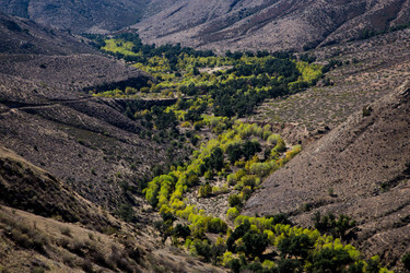 Similar image 8273730