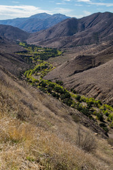 Similar image 8273734