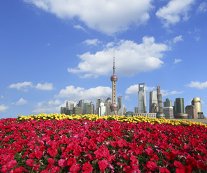 Similar image 8273749