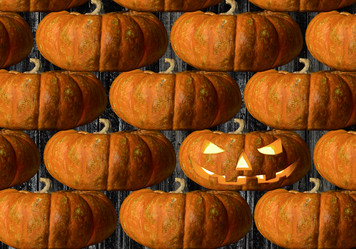 Similar image 8273869