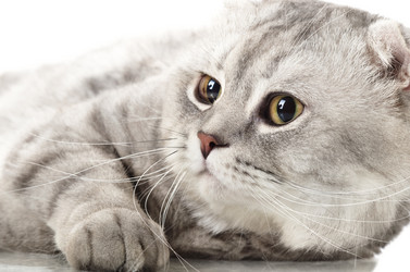 Similar image 8273887