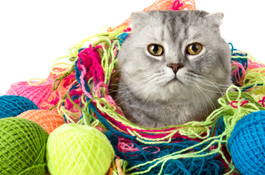 Similar image 8273888