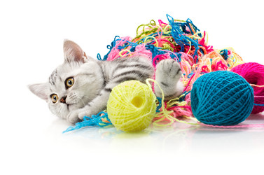 Similar image 8273889