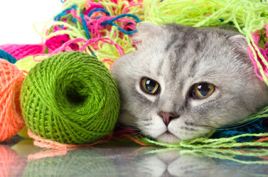 Similar image 8273890