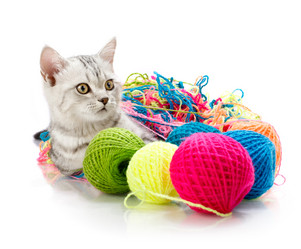 Similar image 8273891