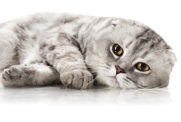 Similar image 8273902