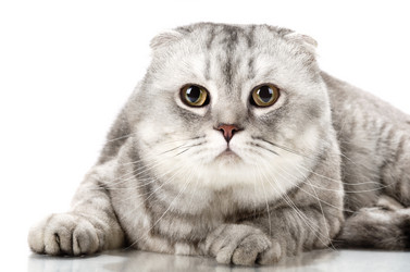 Similar image 8273903