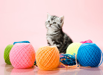 Similar image 8273904