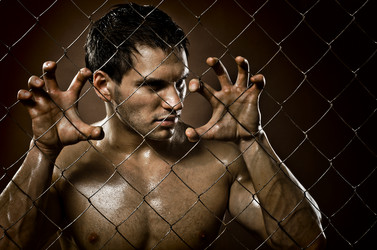 Similar image 8273933