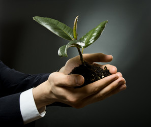 Similar image 8273935