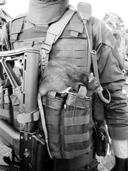 Similar image 8273959