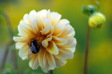 Similar image 8273962