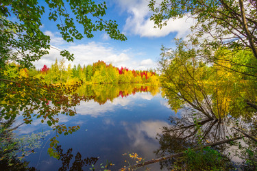 Similar image 8274006