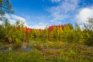 Similar image 8274008