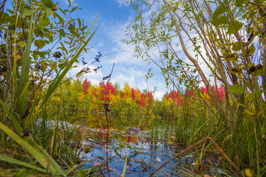 Similar image 8274009