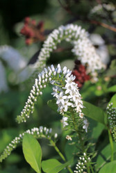 Similar image 8274014