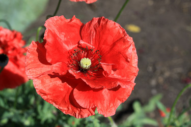 Similar image 8274016