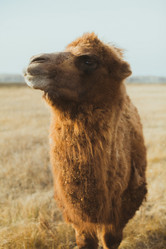 Similar image 8274072