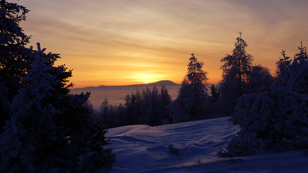 Similar image 8274074