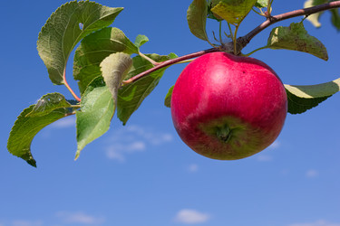 Similar image 8274078