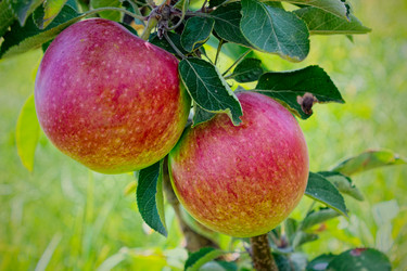 Similar image 8274079