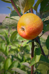 Similar image 8274080