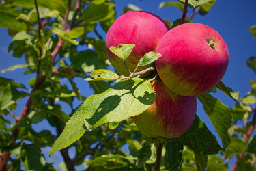 Similar image 8274081