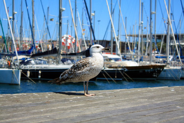 Similar image 8274085