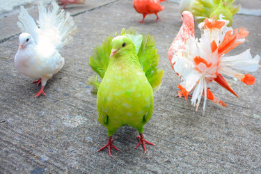 Similar image 8274088