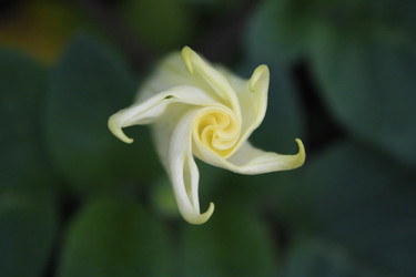 Similar image 8274089